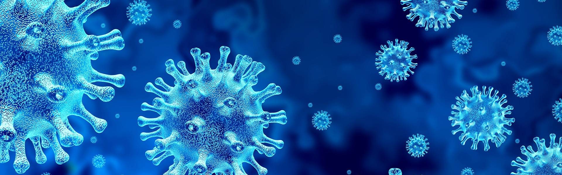 אוצר מילים באנגלית קורונה