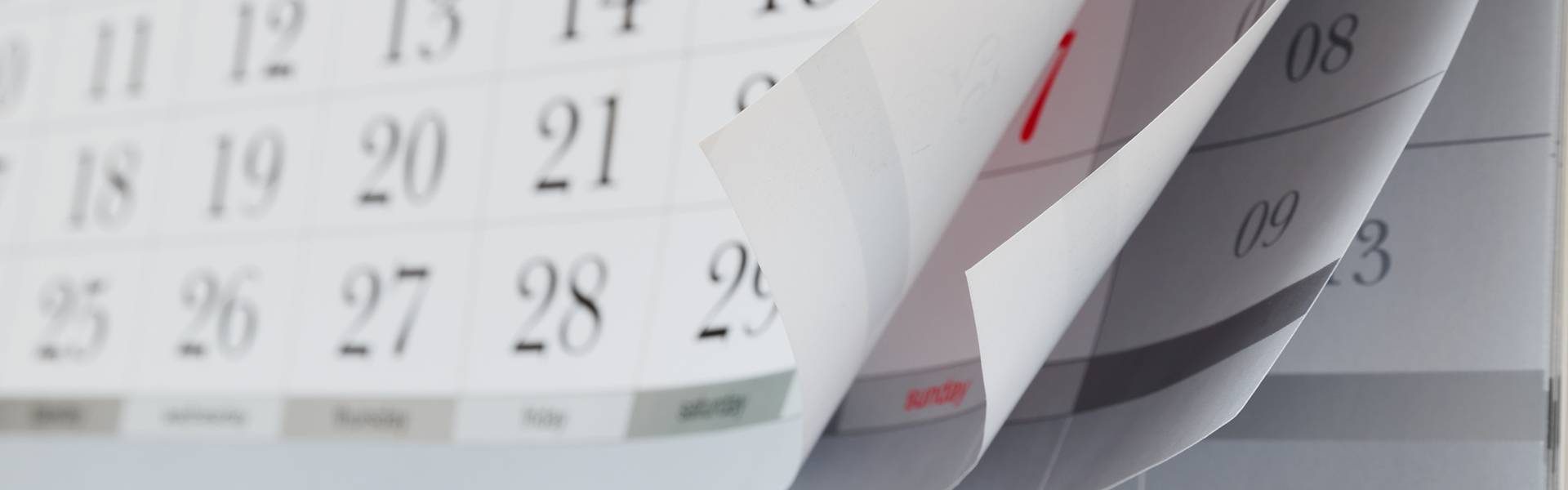 אוצר מילים באנגלית – חודשי השנה