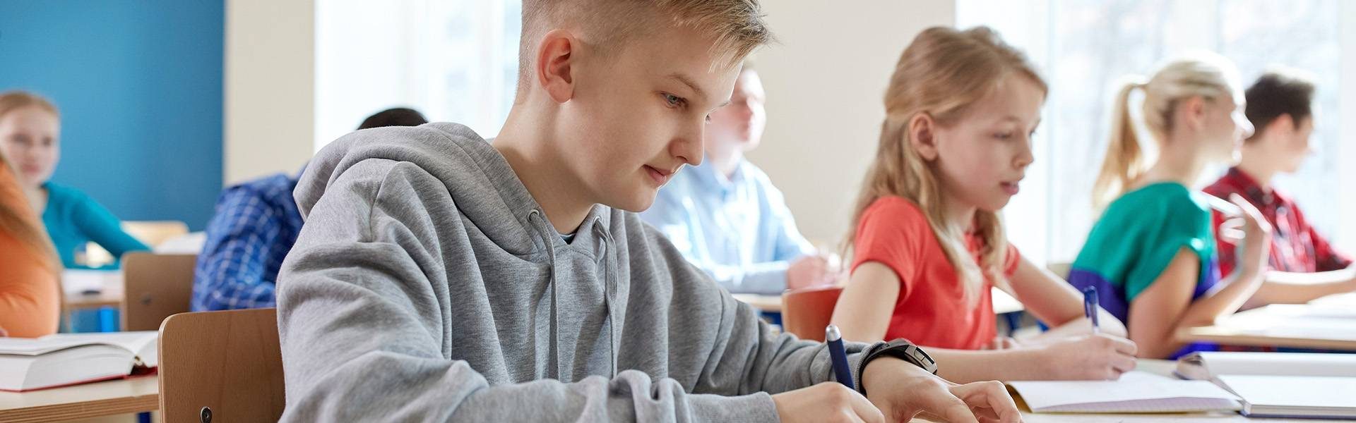 אנסין לכיתה ה